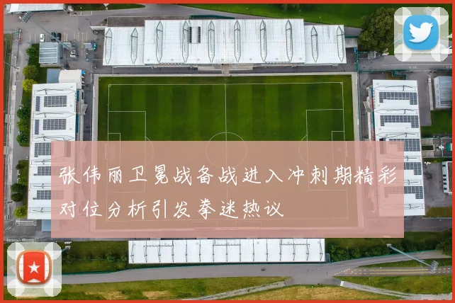 张伟丽卫冕战备战进入冲刺期精彩对位分析引发拳迷热议